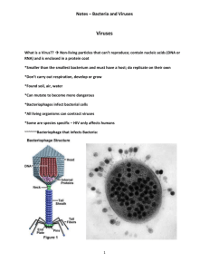 Virues and Bacteria
