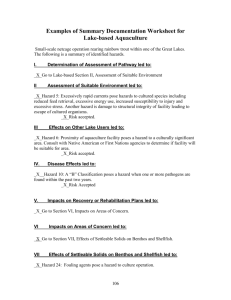 Examples of Summary Documentation Worksheet for