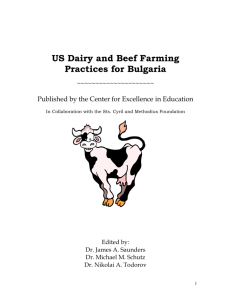 Nutrition, Economics and Facilities for Beef Production with Dairy