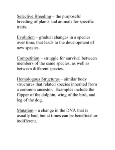 Selective Breeding – the purposeful breeding of plants and animals