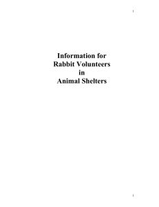 Shelter Volunteer Training Manual