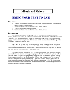 BRING YOUR TEXT TO LAB! Objectives: To begin to understand the