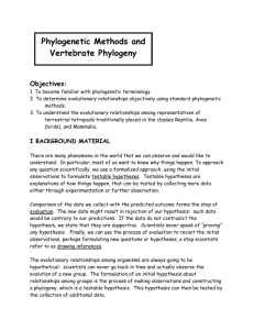 Phylogenetic Methods and Vertebrate Phylogeny