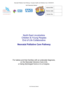 nel-cyp-collab-neonatal-palliative-care-pathway-v0-2 nel