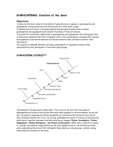GYMNOSPERMS & ANGIOSPERMS: Evolution of the Seed