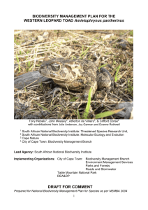 biodiversity management plan for the leopard toad