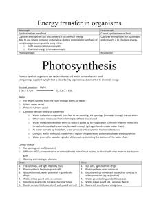 Bio Photosynthesis 2009 Yingxin