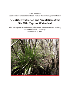 Scientific Evaluation and Simulation of the Six Mile Cypress