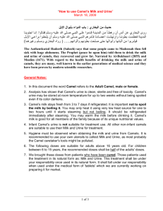 This document was originally published in Arabic at (WWW