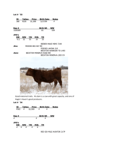 Lot # `33 - K2 Red Angus