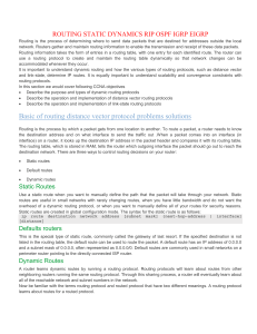 ROUTING STATIC DYNAMICS RIP OSPF IGRP EIGRP