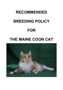 BREED POLICY AS AGREED AT BAC FEB 23RD 2014