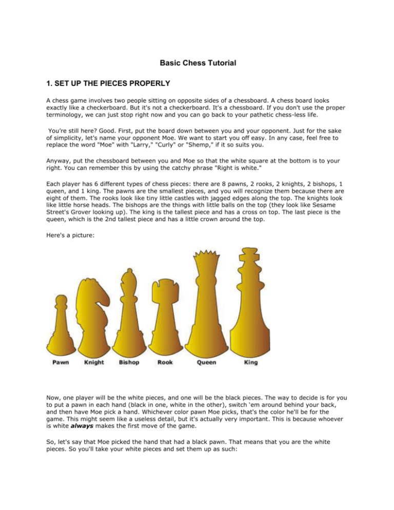 ▷ Chess pieces set up: Learn the basics of chess to play quick like a #1.