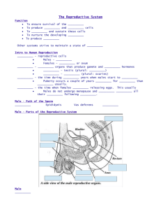 The Reproductive System PPT FIB Notes