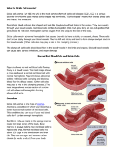 What Is Sickle Cell Anemia