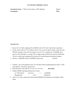 V79 COLONY FORMING ASSAY