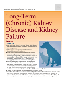 long-term_(chronic)_kidney_disease_and_kidney_failure