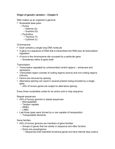 Origin of genetic variation – Chapter 8