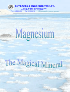 Magnesium Chloride brochure - Morre