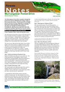 Murrungowar Forest Drive - Department of Environment, Land