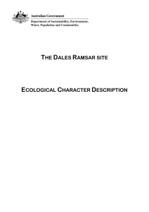 The Dales Ramsar site Ecological Character Description (DOC