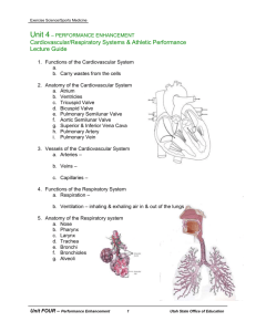 Cardiorespiratory Lecture Guide