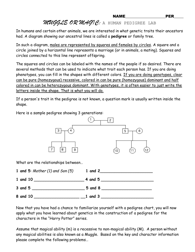 Pedigree Lab Activity Answers : 30 Pedigree Worksheet Answer Key Education Template Dokter Andalan