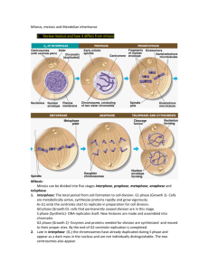 Mitosis, meiosis and Mendelian inheritance - Wk 1-2