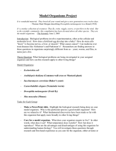 Model Organisms Project - Life Sciences Outreach Program