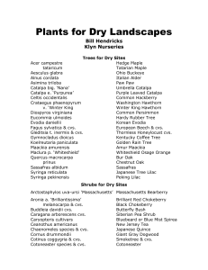 Plants for Dry Landscapes