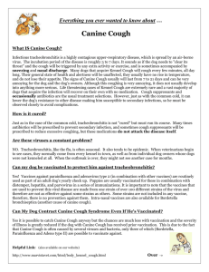Canine Cough Handout Page 1