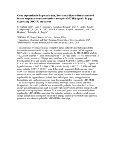 Gene expression in hypothalamus, liver and adipose tissues and