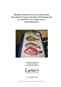 INTERIM REPORT ON BIOPSY COLLECTIONS FROM SPECIMEN