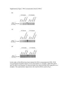 Supplementary figure of DNA-contamination check of RNA