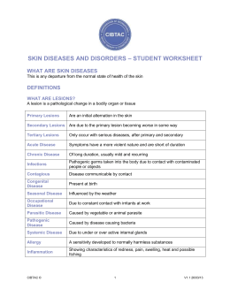 studylib.net - Essys, homework help, flashcards, research papers, book