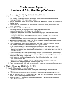 The Immune System: Innate and Adaptive Body Defenses