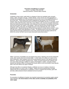 Urolithiasis prevent.. - Veterinary Extension