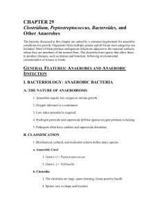 CHAPTER 29 Clostridium, Peptostreptococcus