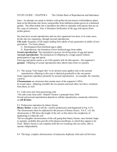 meiosis and crossing over