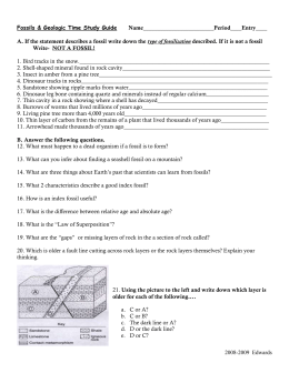 GEOLOGIC TIME SCALE AND FOSSILS OUTLINE