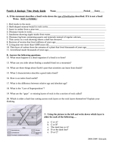 Fossils and Geologic Time Study Guide