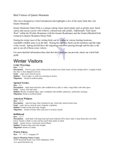 Visiting birds - Quartz Mountain Nature Park Main Page
