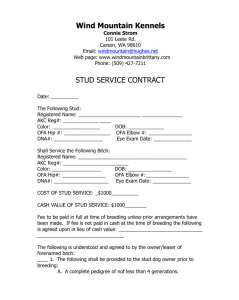 Stud Dog Contract-blank