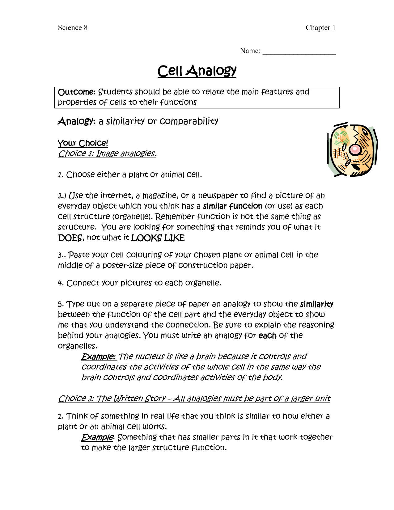 Cell Analogies