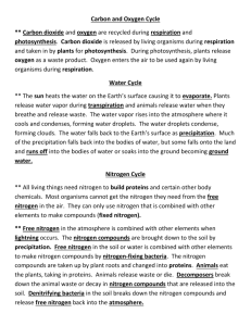 Carbon and Oxygen Cycle