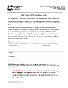 Backyard Farm Animal Policy