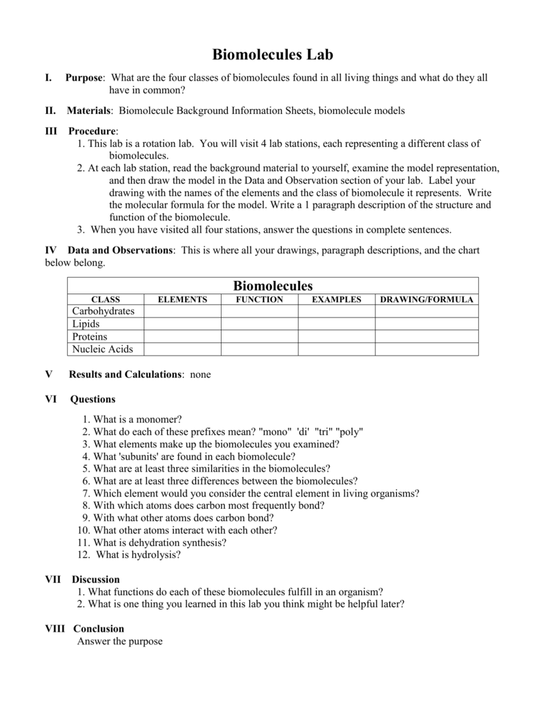 Biomolecules Chart Answers