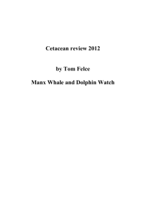 Cetacean review 2012 - Manx Whale and Dolphin Watch