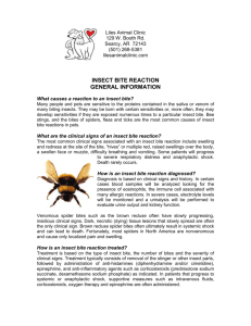 Insect Bite Reaction – General Information
