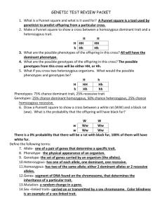 Genetic Test Review Packet What is a Punnet square and what is it